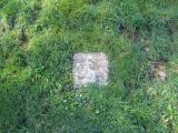 image of grave number 384390